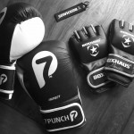 Boxhandschuhe und MMA Gloves