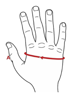 Grafische Darstellung Hand