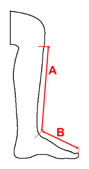 Grafische Darstellung Schienbein