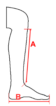 Grafische Darstellung Schienbein