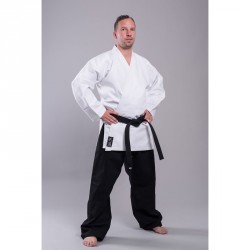 Judo Phoenix Gürtel 2-farbig Karate Taekwondo Ju Jutsu Streifen mittig BJJ 