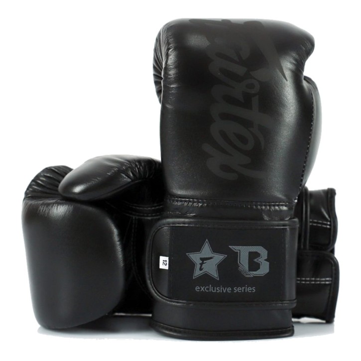 Fairtex Booster BG Boxing Gloves Black Black