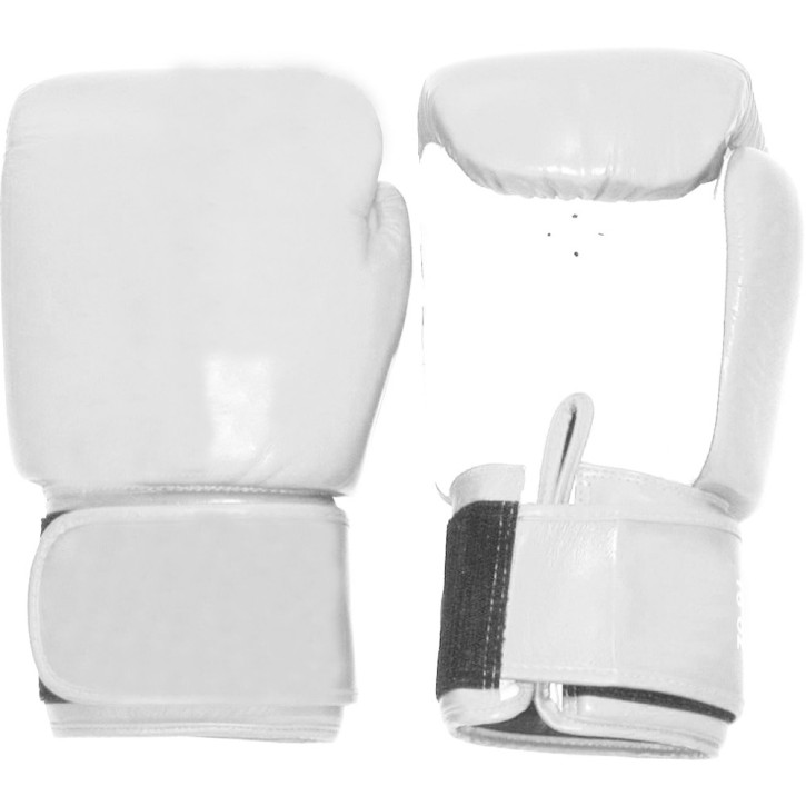 Tiger Boxing Gloves Leather Silver White
