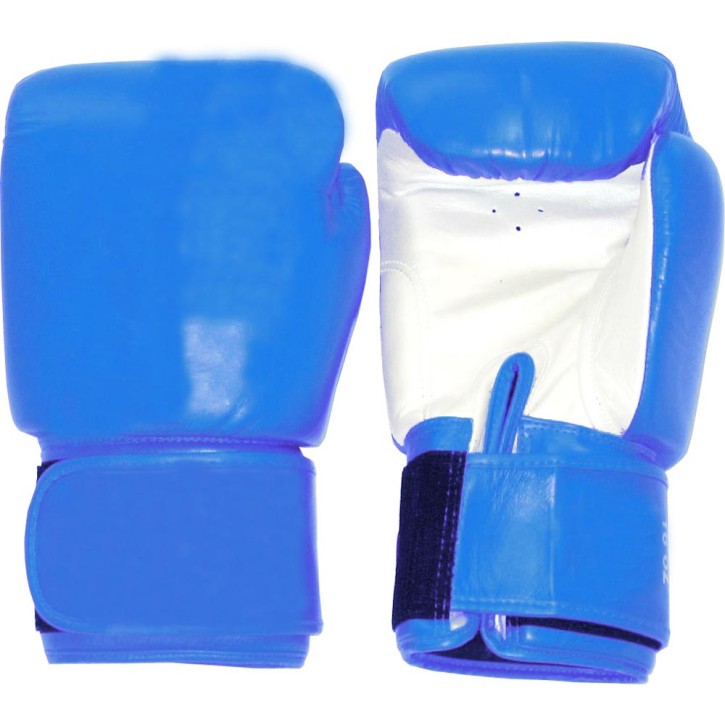 Tiger Boxing Gloves Leather Blue White