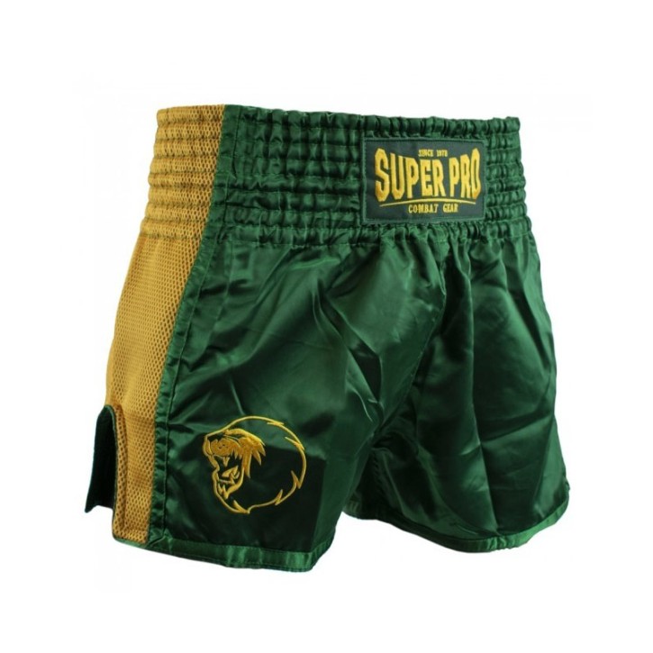 Super Pro Brave Thai Kickbox Shorts Grün Gold
