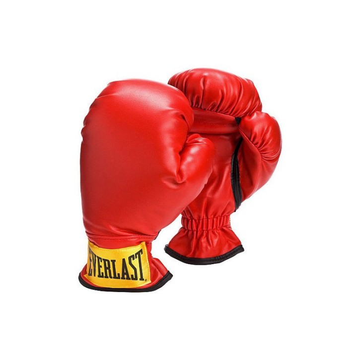 Everlast Youth Boxing Gloves 3003