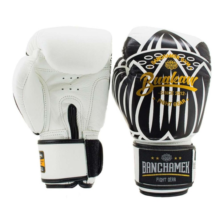 Banchamek Buakaw 2 boxing gloves
