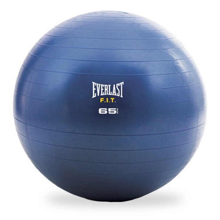 Everlast Exercise Ball 65cm Blue