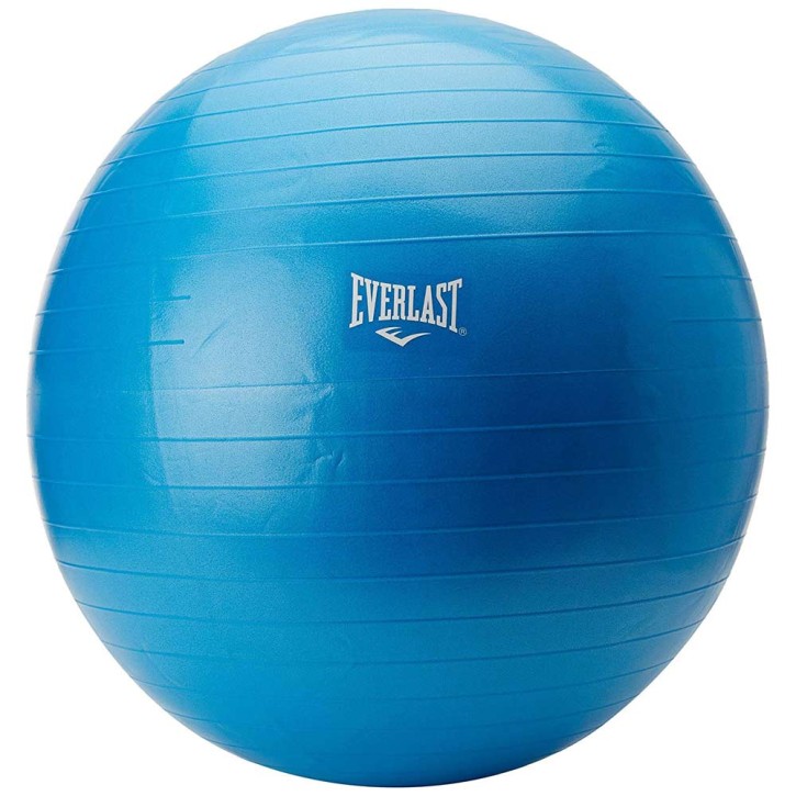 Sale Everlast Anti Burst exercise ball 75cm