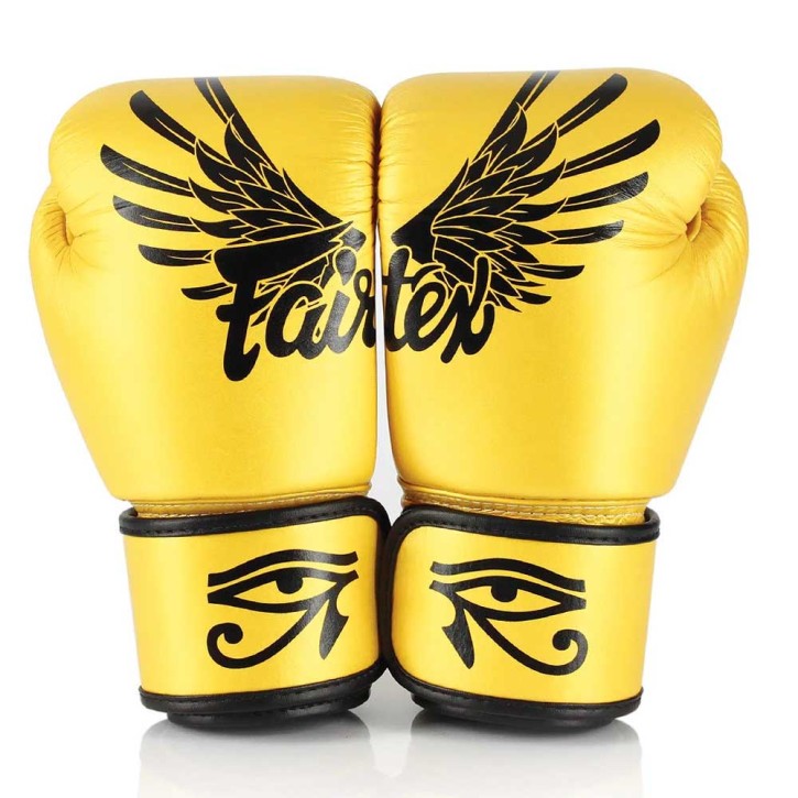 Fairtex Falcon Ltd. Edition boxing gloves BGV1