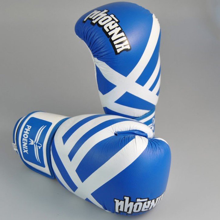 Phoenix Thai Boxhandschuhe Leder Blue White