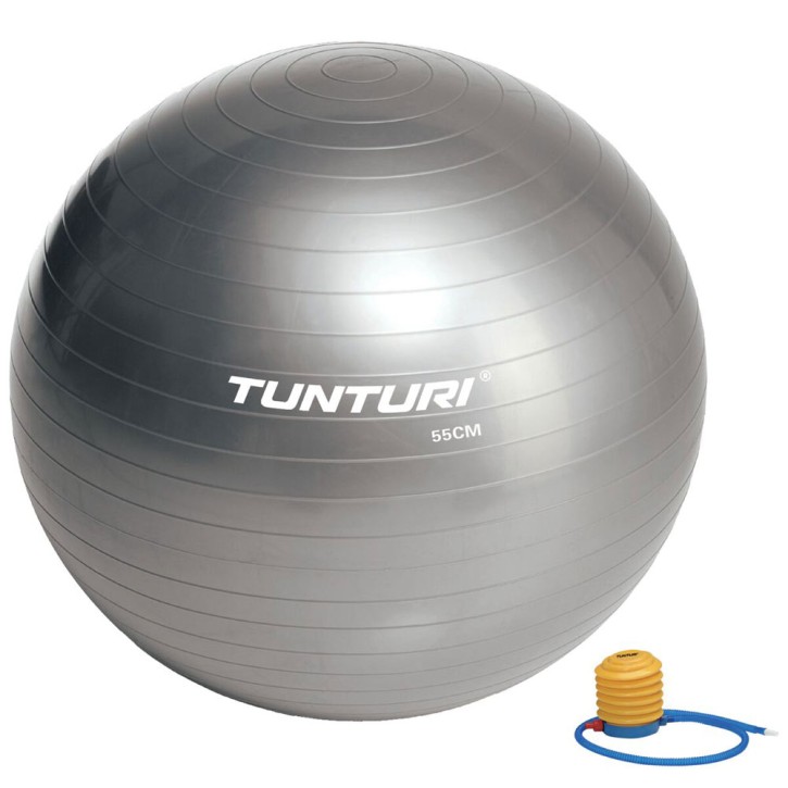 Tunturi exercise ball silver 55cm