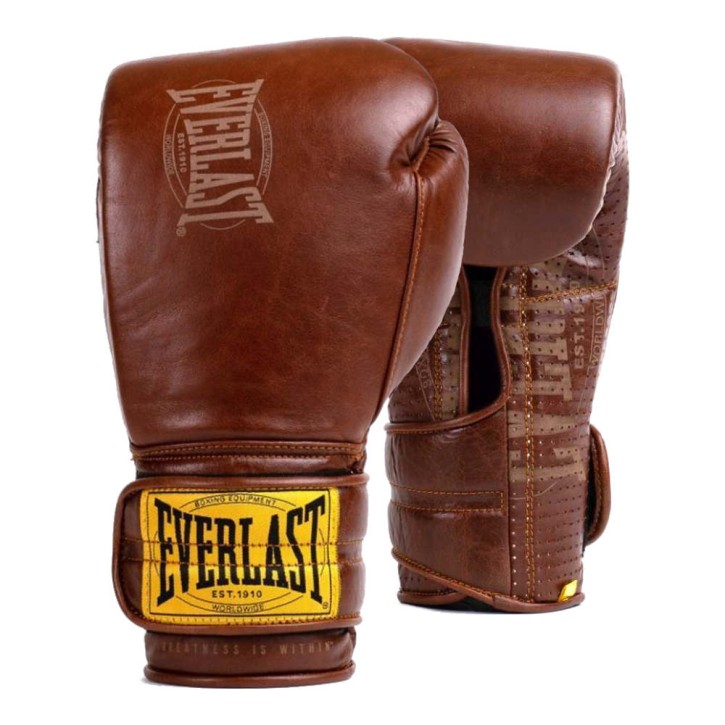 Everlast Hook and Loop Sparring Boxing Gloves Brown
