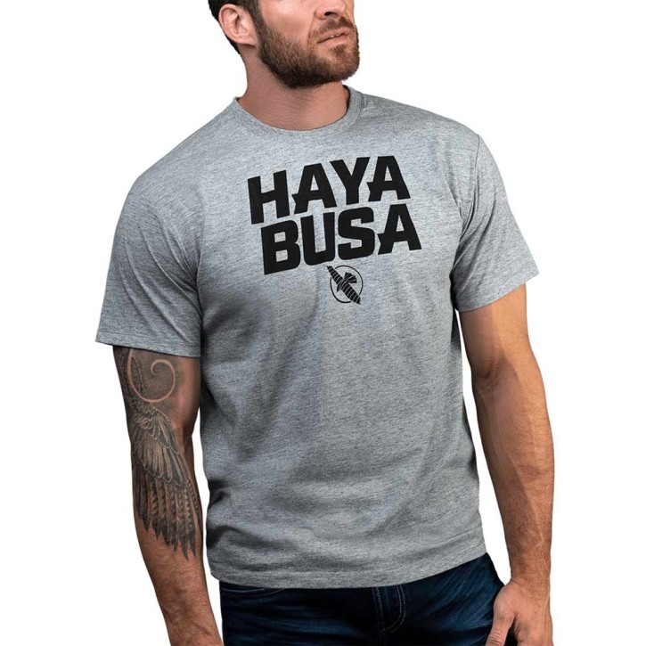 Abverkauf Hayabusa Casual Logo T-Shirt Grey