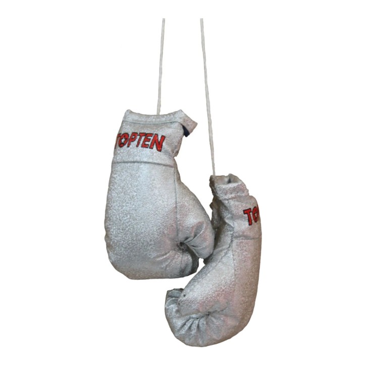 Top Ten Mini Boxing Gloves Silver