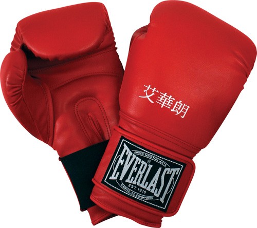 Abverkauf Everlast MA sparring gloves Leder 7710