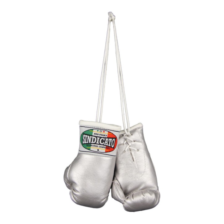 Mini Boxing Gloves Silver