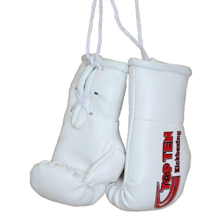 Top Ten Mini Boxing Gloves Kickboxing Gold