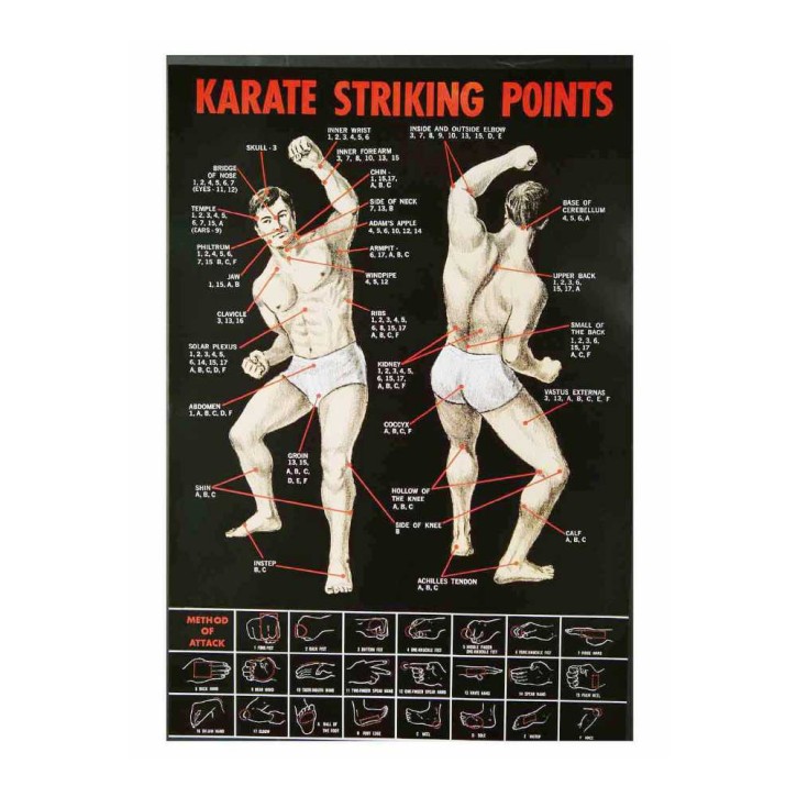 Poster Karate  - Striking Points