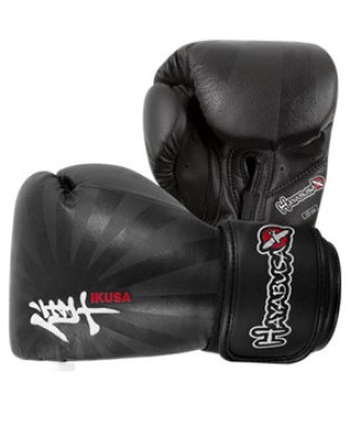 Hayabusa Ikusa 10oz Gloves Black