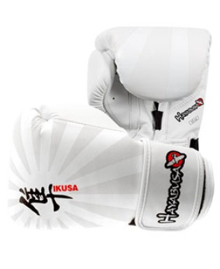 Hayabusa Ikusa 10oz Gloves White