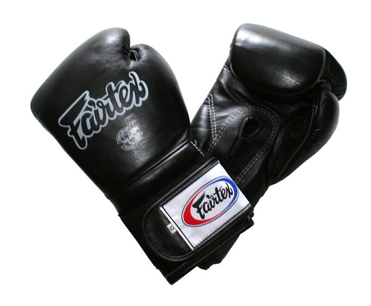 Fairtex boxing gloves BGV 9