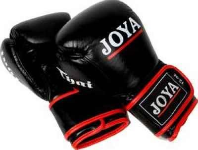 Joya leather boxing gloves Thai