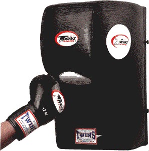 Sale Twins WB wall punching pads leather