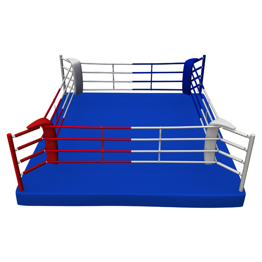 Veio Sports Floor Mount Boxing Ring 16'