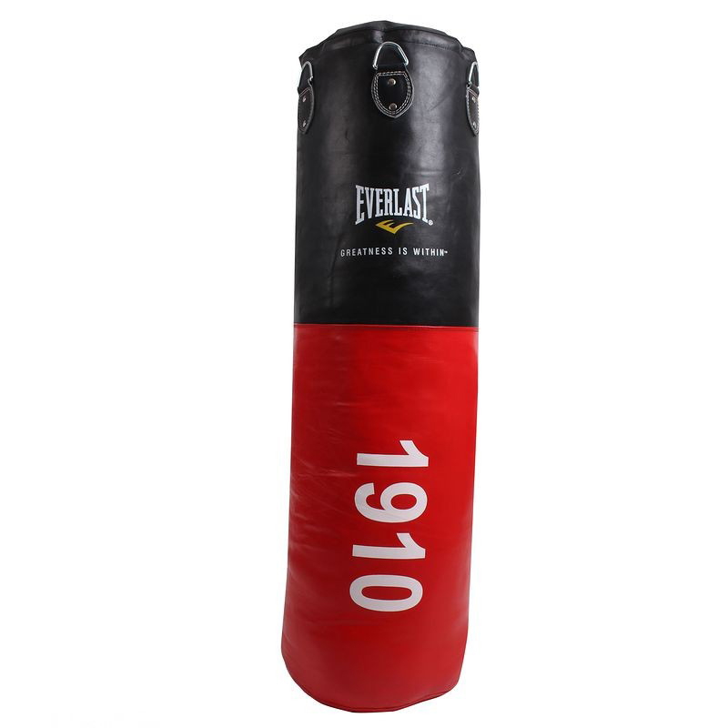 Amazon.com : Everlast 70 LB Nevatear Heavy Bag Boxing Kit with 14 oz  Pro-Style Gloves and 120 inch Hand Wraps : Boxing Trainers Supplies :  Sports & Outdoors