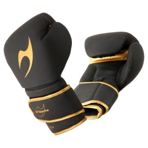 Gold-AFR_001060_E12 Black Pro Training Boxing Ju-Sports Gloves