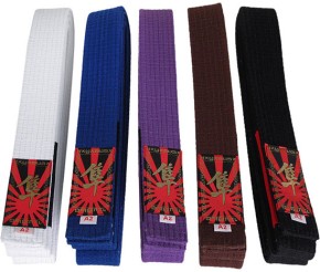 Sale Hayabusa Pro Jiu Jitsu Belt Brown